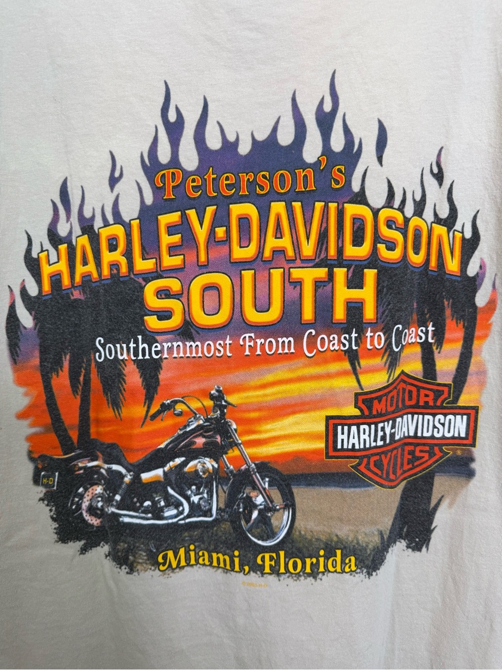 Vintage 2001 Harley Davidson South T-Shirt Size Large Cotton Made in USA Y2K - Picture 4 of 7